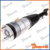 Amortisseur de suspension avant pour TESLA | A-CH-142, 71232